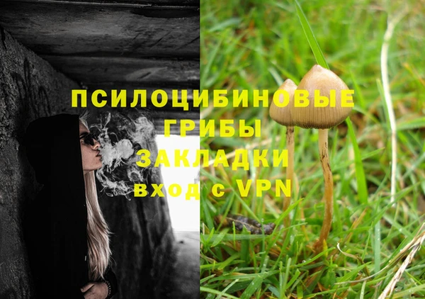 ECSTASY Алексеевка