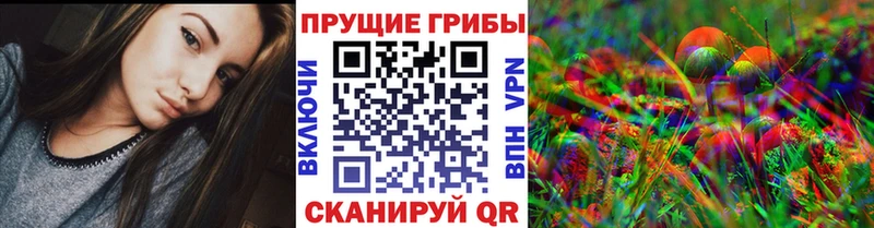 Псилоцибиновые грибы Psilocybine cubensis  гидра ТОР  Можга 