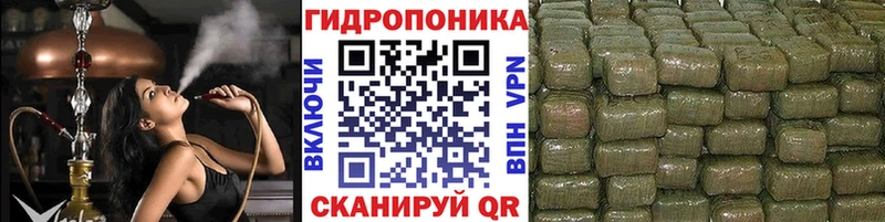 KRAKEN продажа наркотиков Можга Шишки марихуана сатива